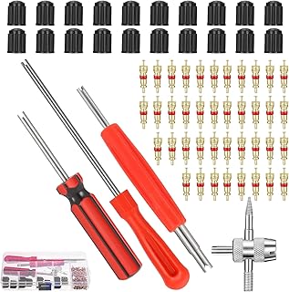FANTESI 64 Stücke Reifenventilentferner Ventil Reparatur, 3 Stück Auto Bike Ventilausdreher Ven…